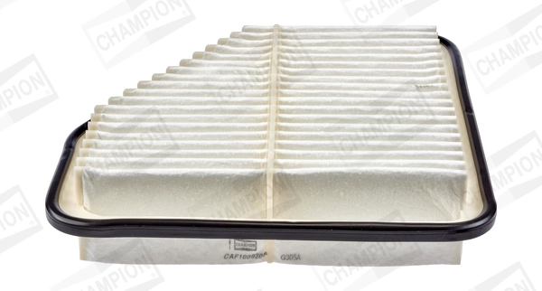 Air Filter CAF100920P