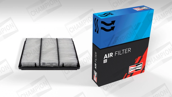 Air Filter CAF100675P