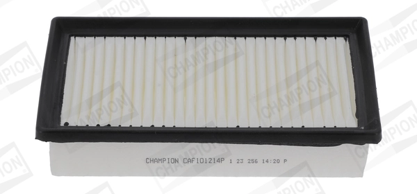 Air Filter CAF101214P