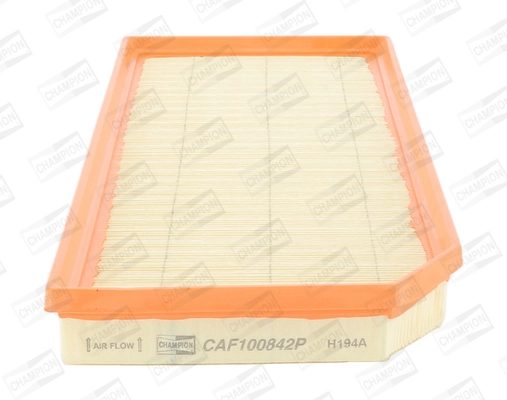 Air Filter CAF100842P