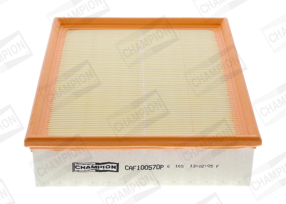 Air Filter CAF100570P