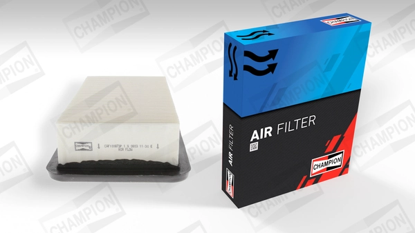 Air Filter CAF100873P