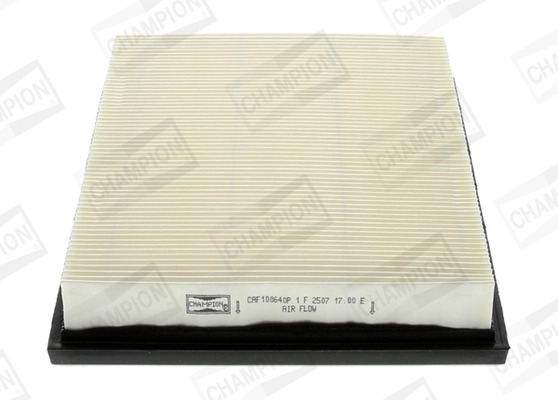 Air Filter CAF100640P