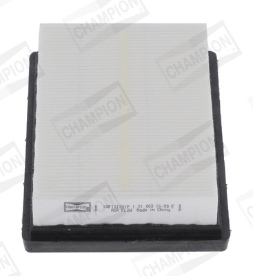 Air Filter CAF101301P