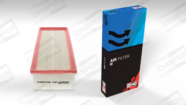 Air Filter CAF100806P