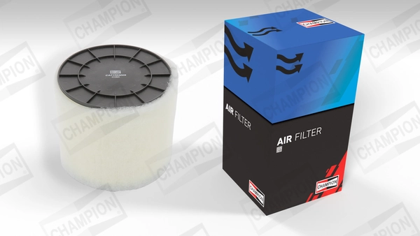 Air Filter CAF100489R