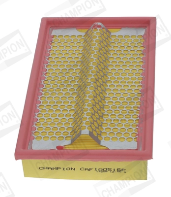 Air Filter CAF100516P