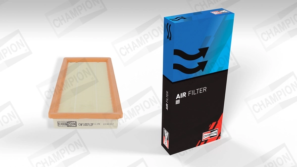 Air Filter CAF100712P