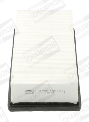 Air Filter CAF100501P