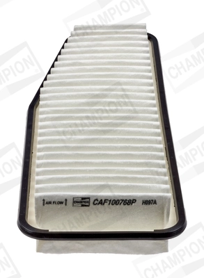 Air Filter CAF100768P