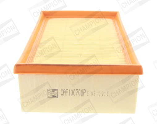 Air Filter CAF100708P