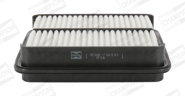 Air Filter CAF100695P