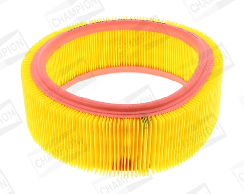 Air Filter CAF100716R