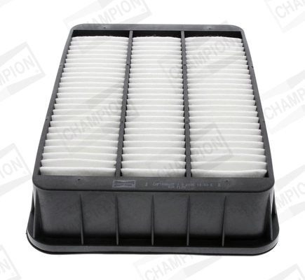 Air Filter CAF100881P