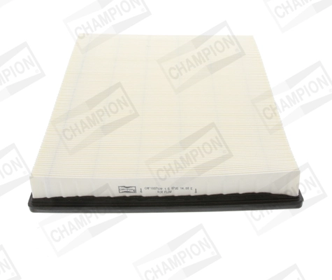 Air Filter CAF100707P