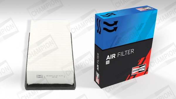Air Filter CAF100501P