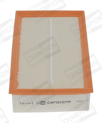 Air Filter CAF101077P