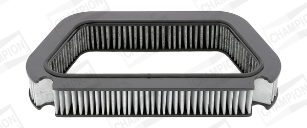 Filter, cabin air CCF0197C