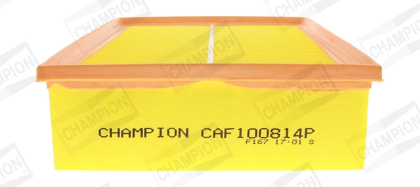 Air Filter CAF100814P