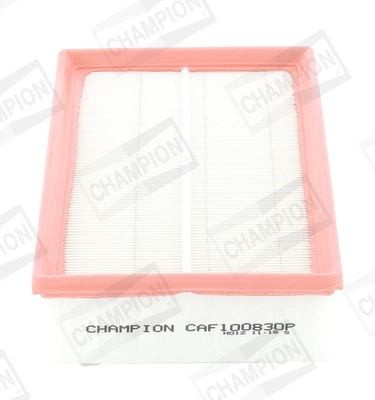 Air Filter CAF100830P