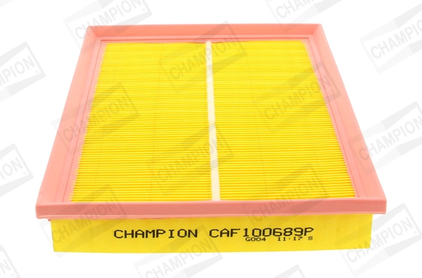 Air Filter CAF100689P