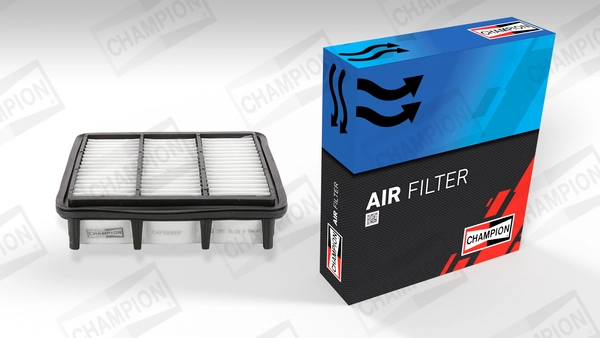 Air Filter CAF100891P