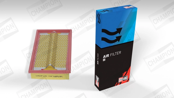Air Filter CAF100516P