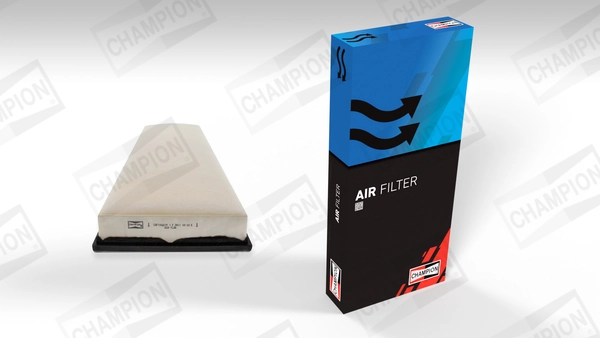 Air Filter CAF100651P