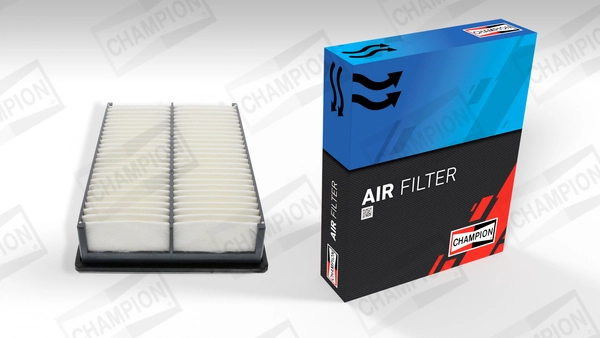 Air Filter CAF100831P