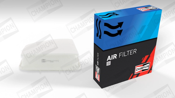 Air Filter CAF100877P