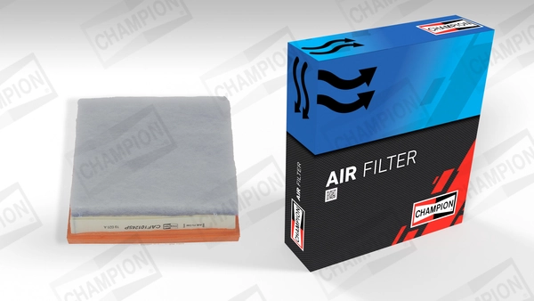 Air Filter CAF101245P