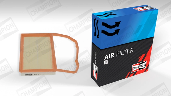 Air Filter CAF101110P