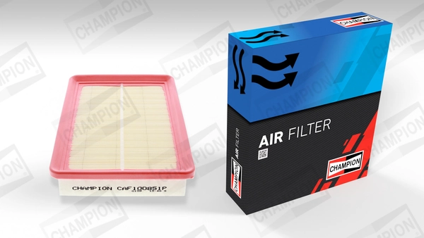 Air Filter CAF100851P