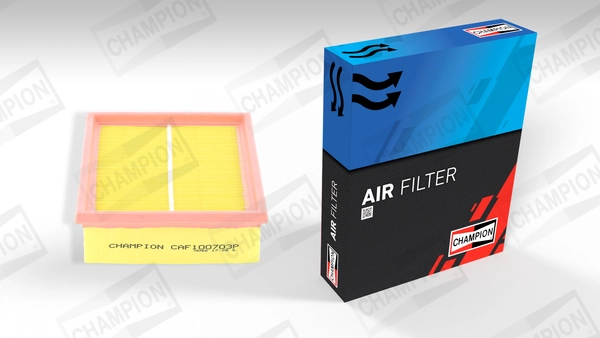 Air Filter CAF100703P