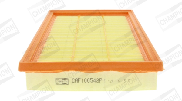 Air Filter CAF100548P
