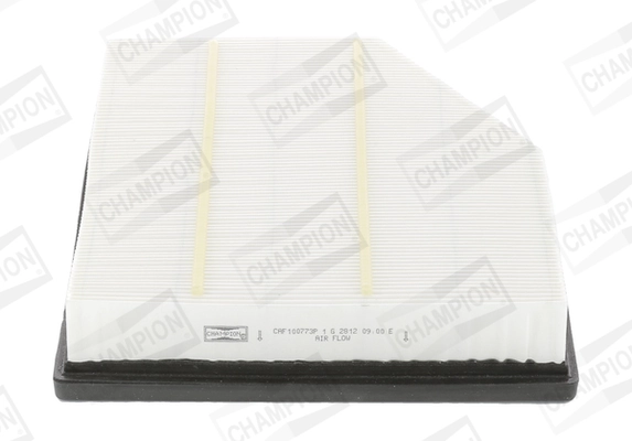 Air Filter CAF100773P