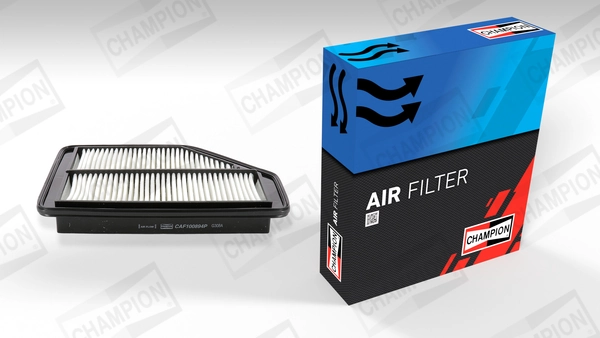 Air Filter CAF100894P