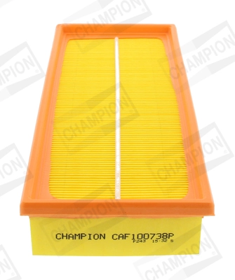 Air Filter CAF100738P
