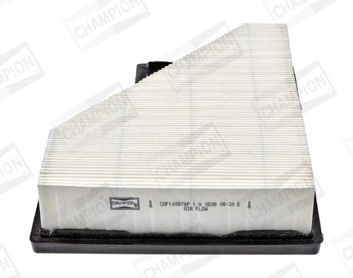 Air Filter CAF100876P