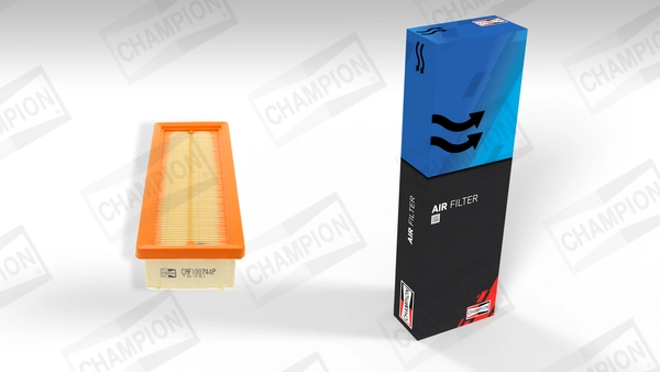 Air Filter CAF100744P
