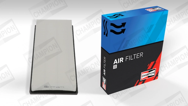 Air Filter CAF100863P