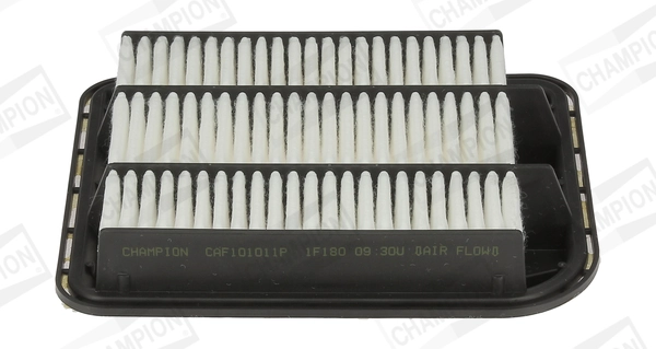 Air Filter CAF101011P