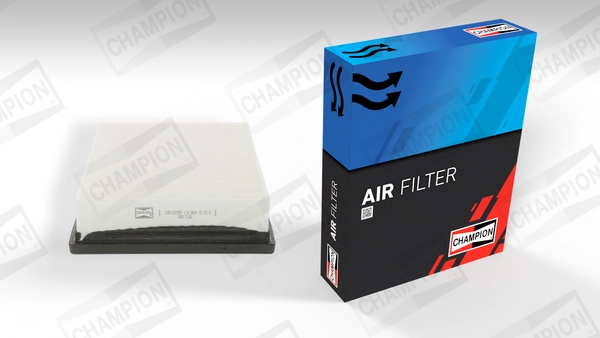 Air Filter CAF100729P