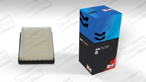 Air Filter CAF100961P