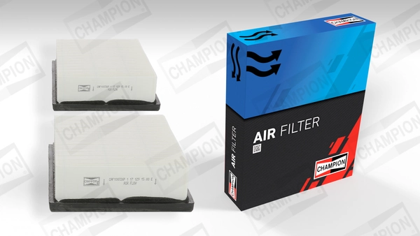 Air Filter CAF100726P