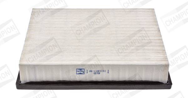 Air Filter CAF100926P