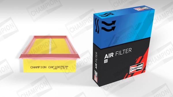 Air Filter CAF100757P