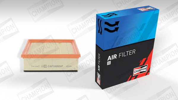 Air Filter CAF100924P