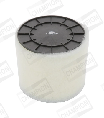 Air Filter CAF100489R