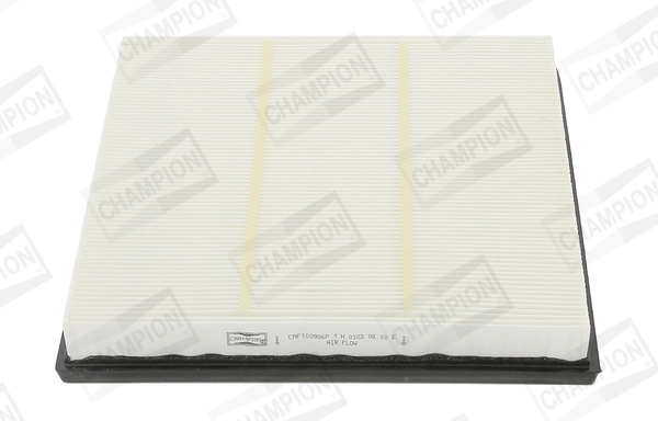Air Filter CAF100986P